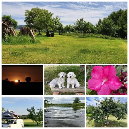 Appartement Seenlandliebe - Sonnenschein *